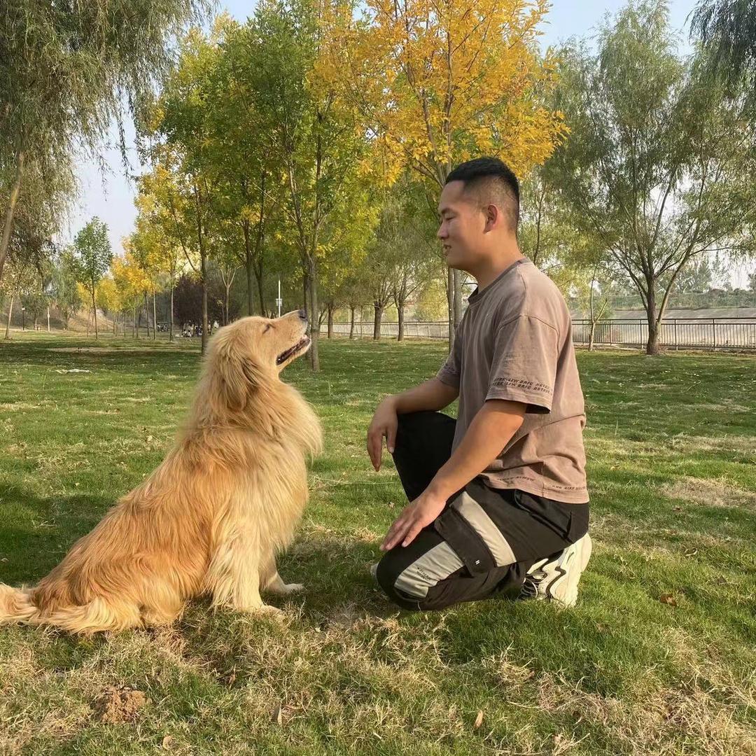 小雨训犬-科学养宠