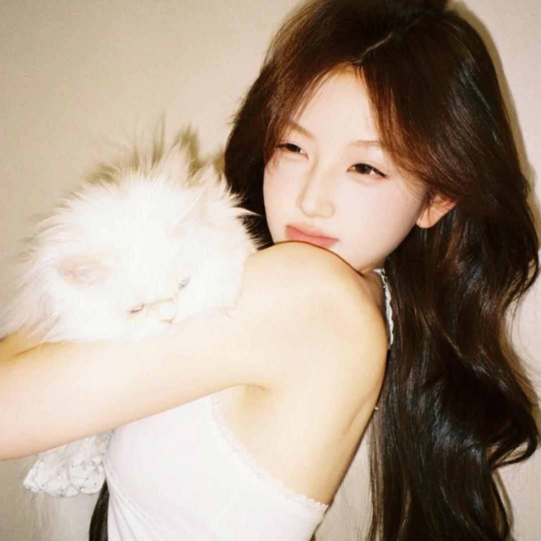 猫猫喵喵～