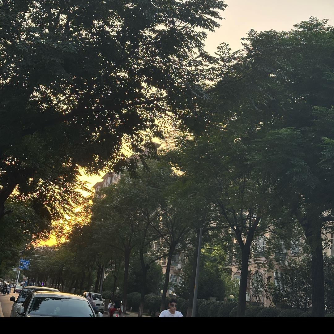 我的世界在下雨