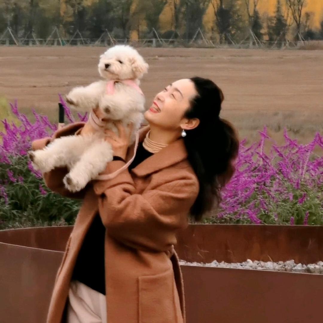 岁美妮