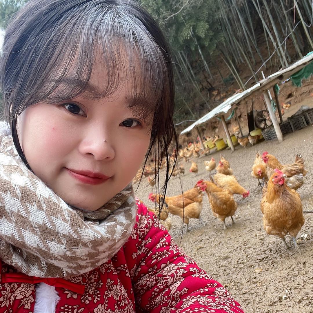 二丫头家散养土鸡