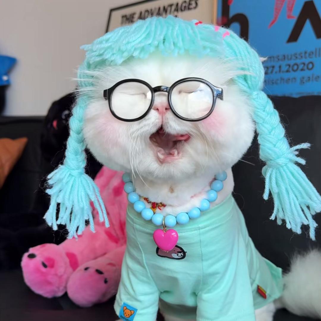 玲珑（酸酸版）