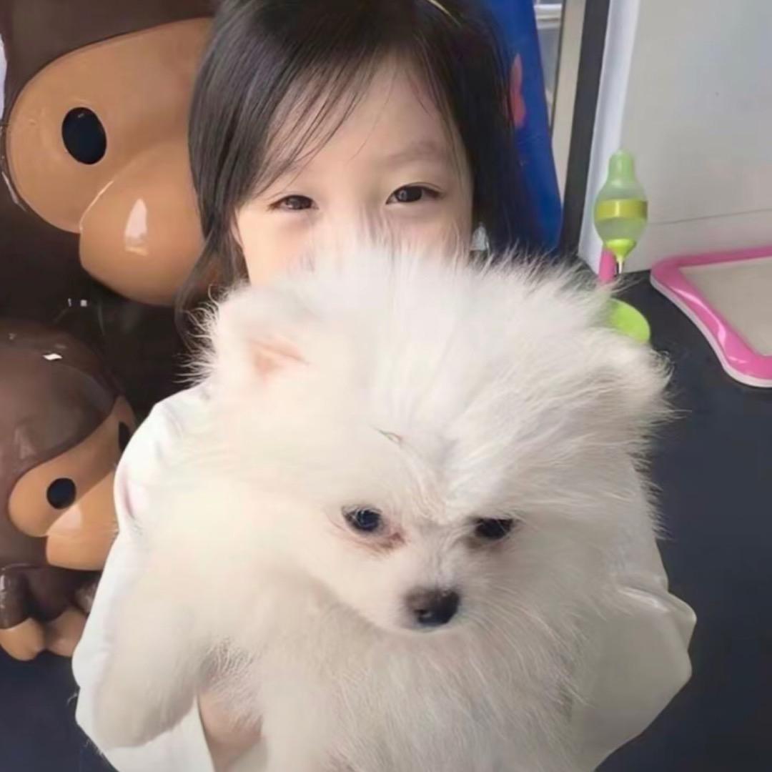殒情海
