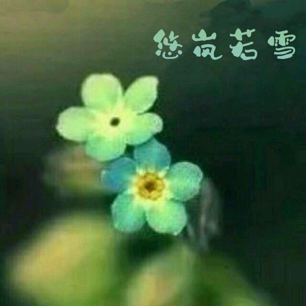 悠岚若雪