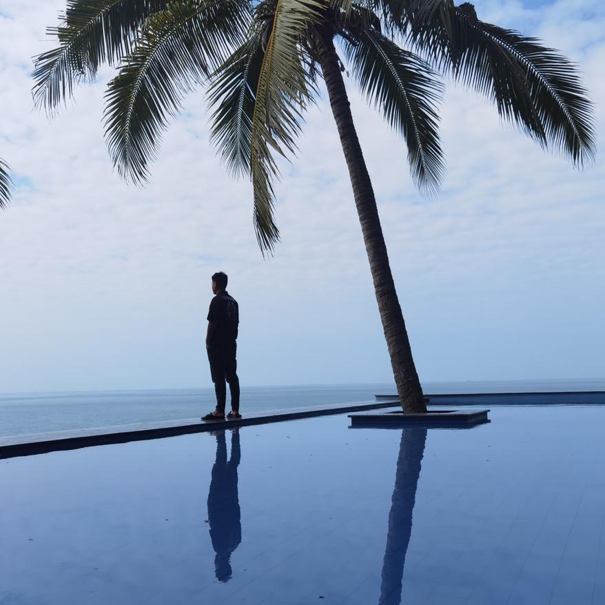 杨洋、