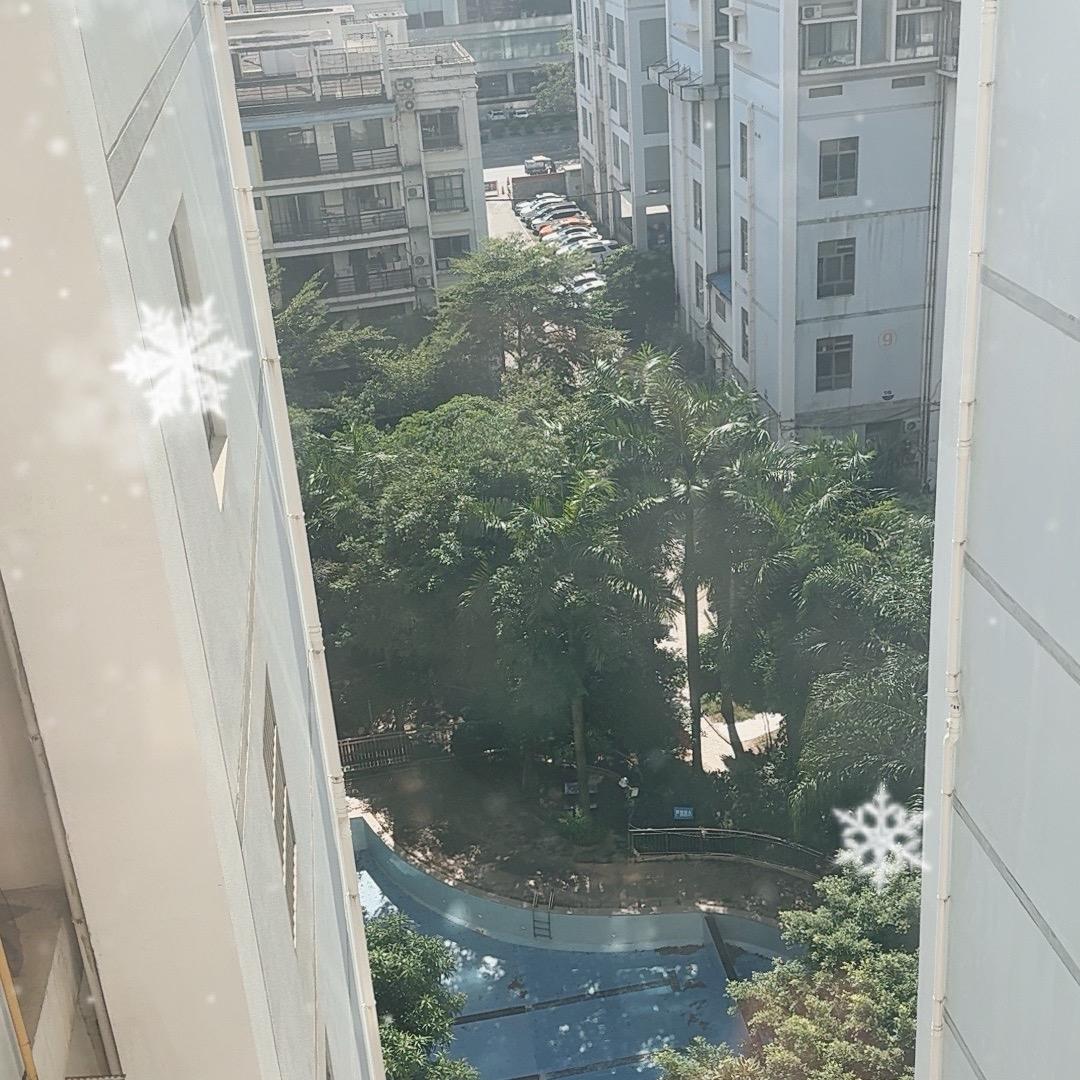 歌圣🇲🇴🇲🇴