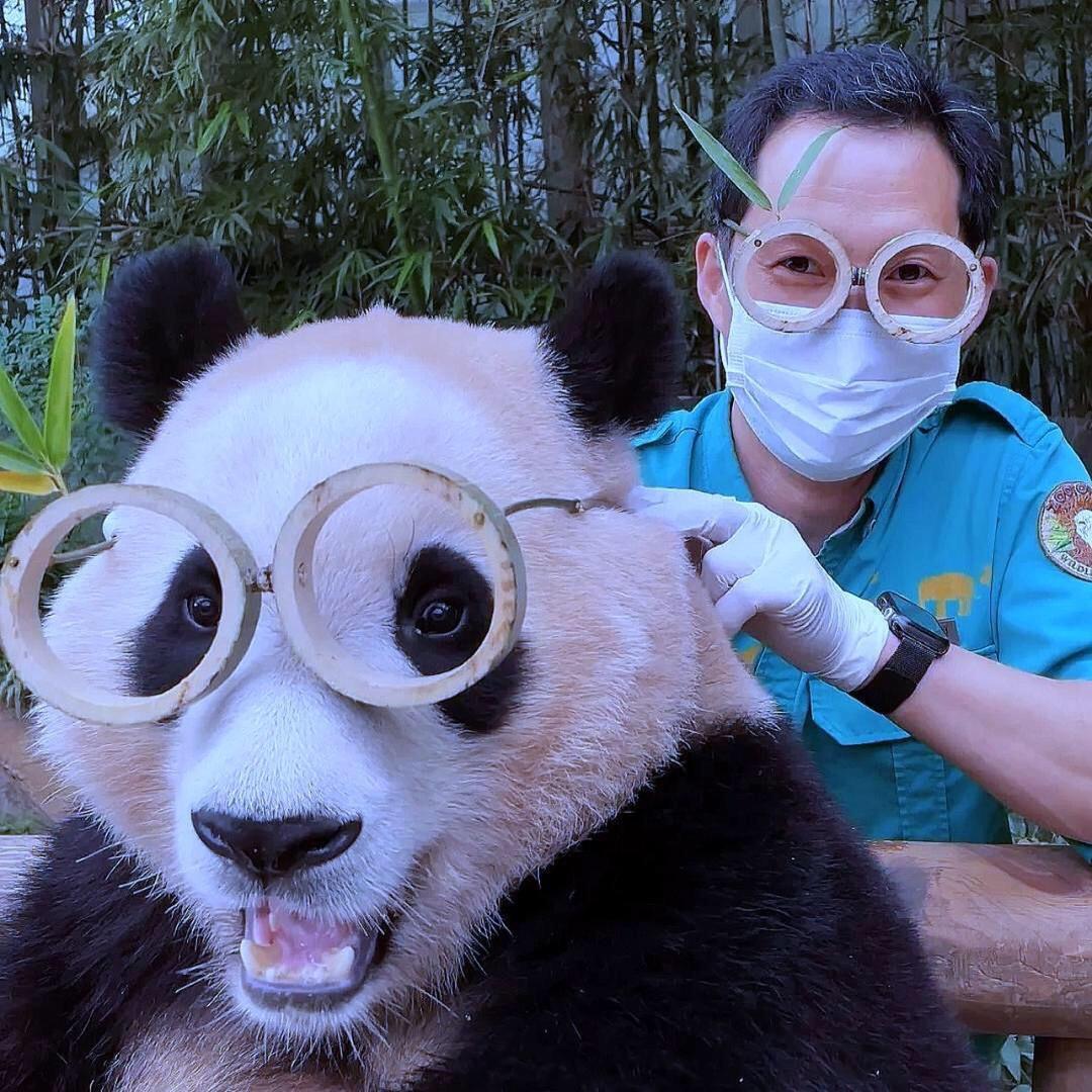福宝家族