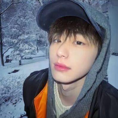 菠萝吹雪.