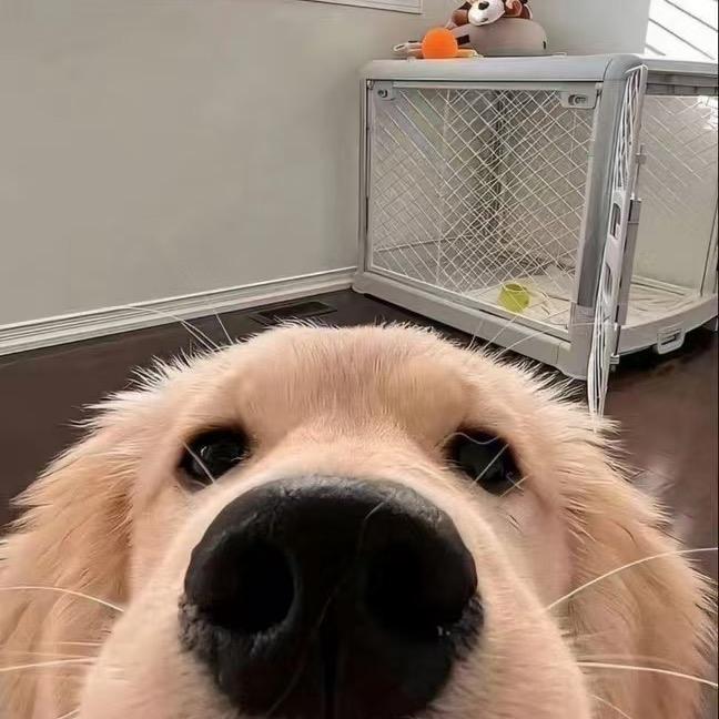 小俊