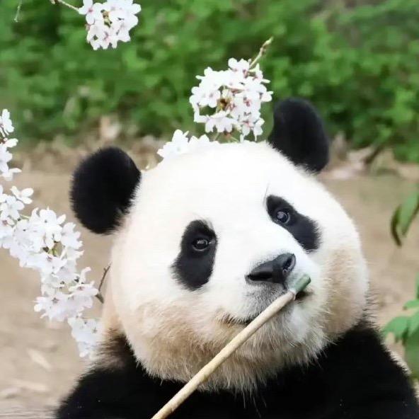 顽泥·末染