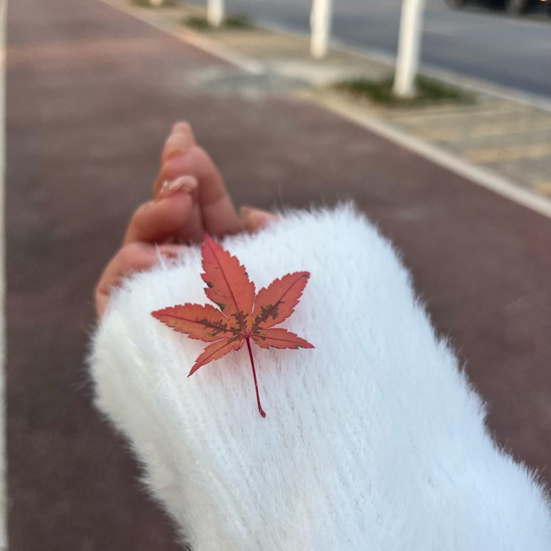 柯小婉