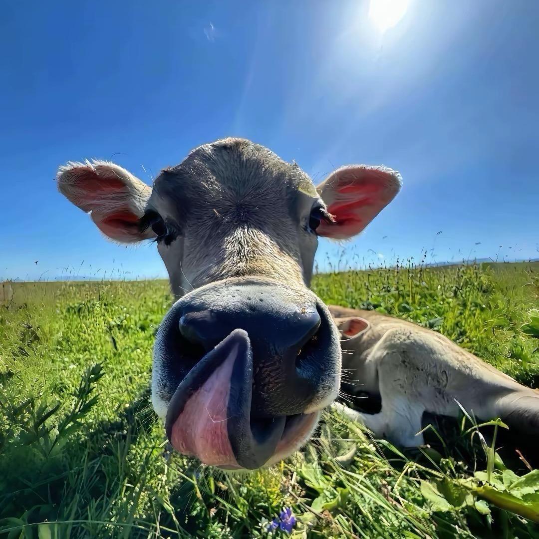 不瘦20斤不改名