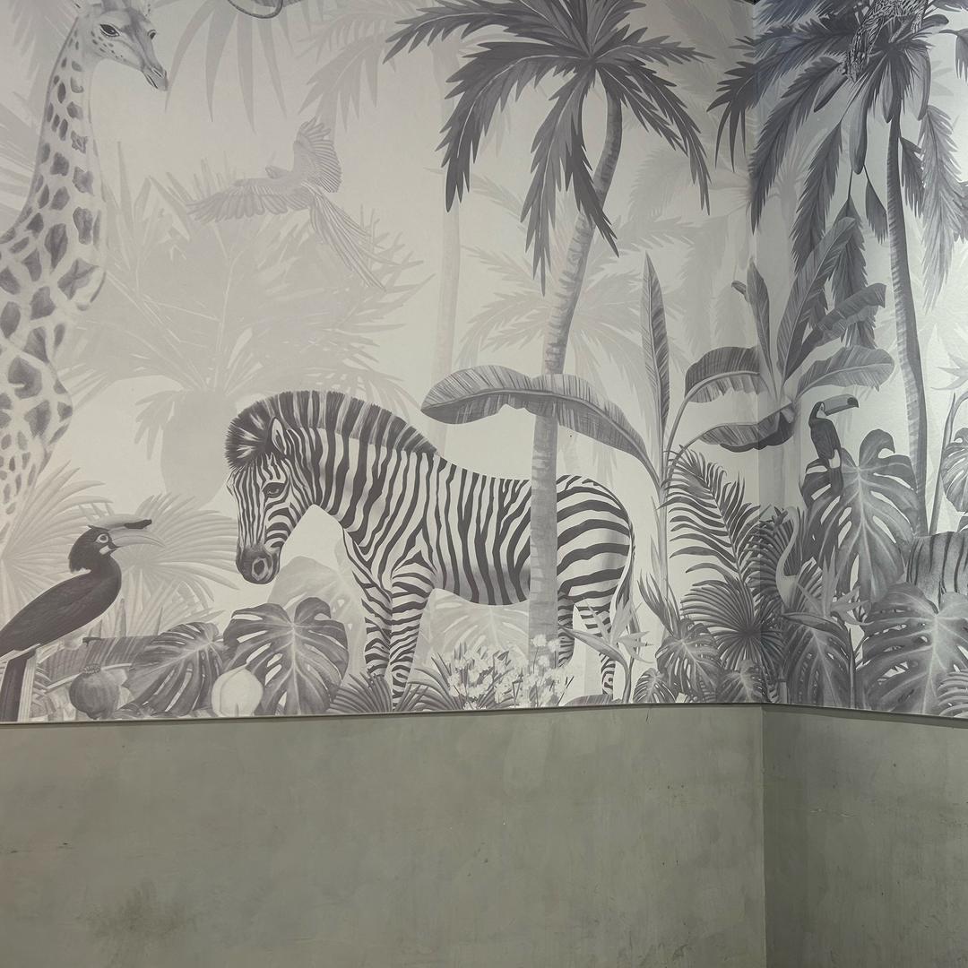 与人类无法交流