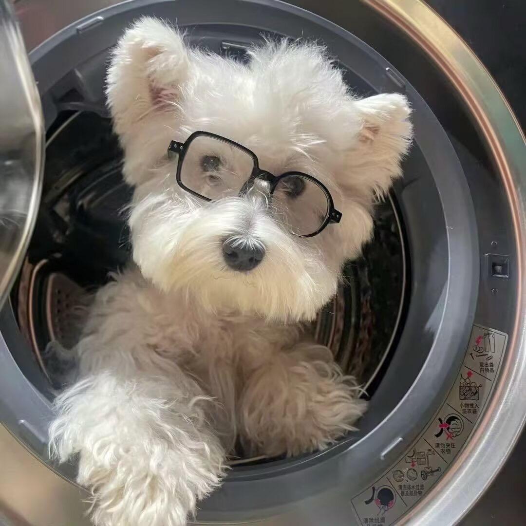 心如止水🍋🥬