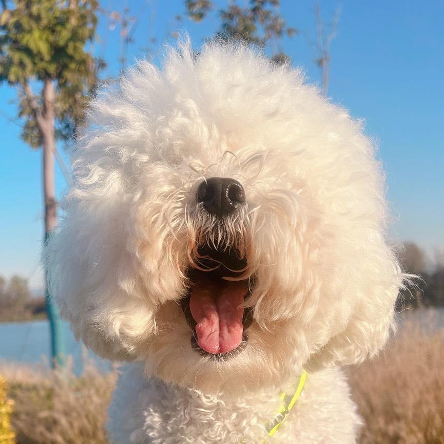 浅浅宝贝的快乐姐姐