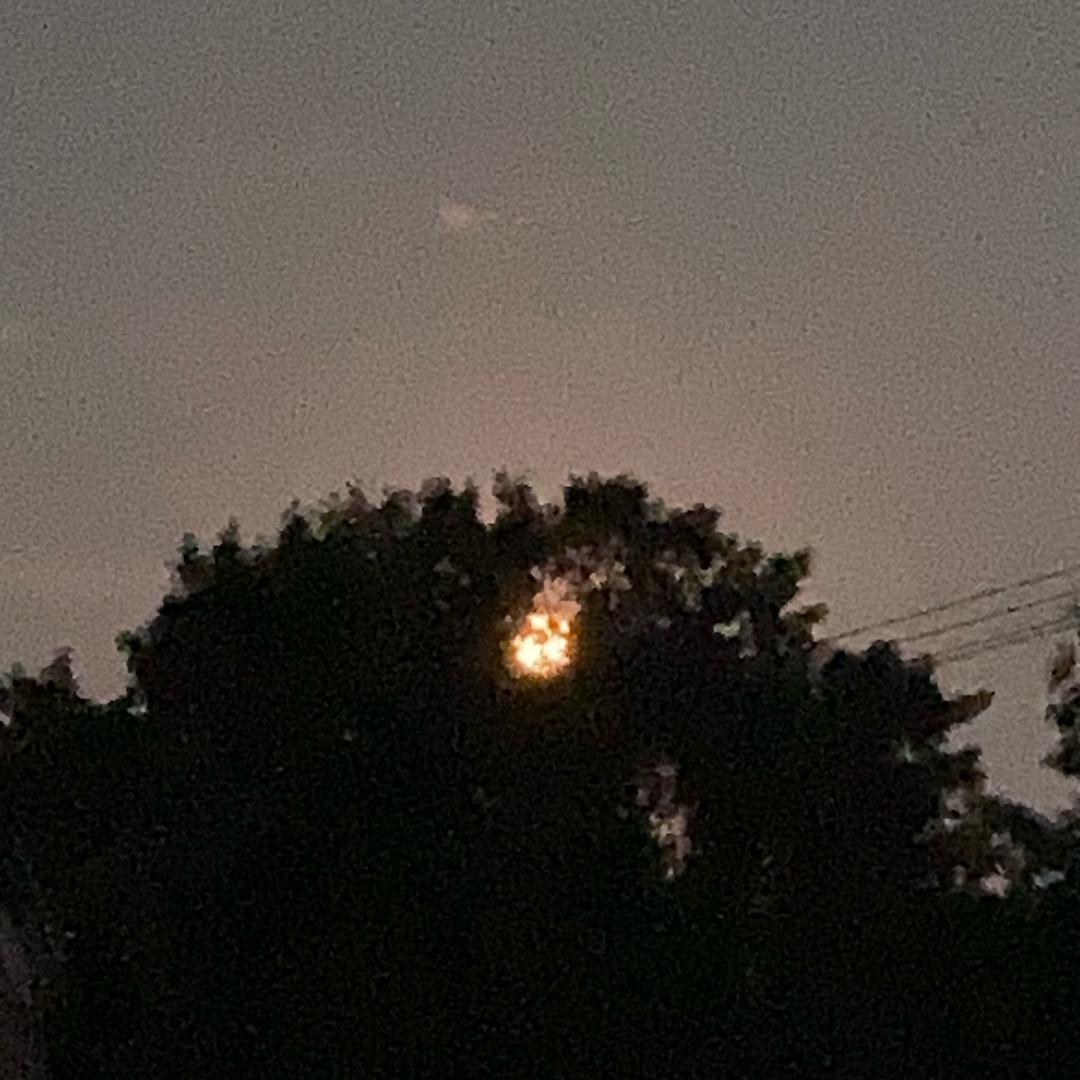 明天想当陈浩南