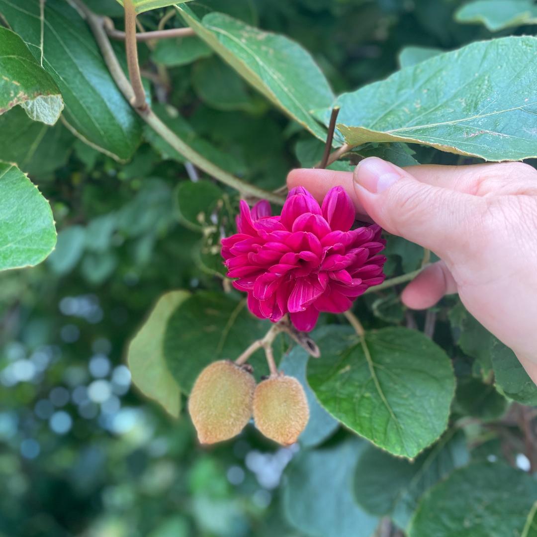 往事清零，吃亏是福