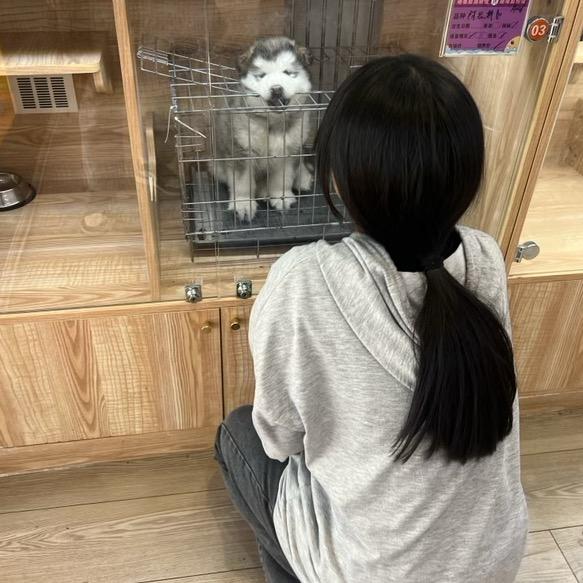 小莹.