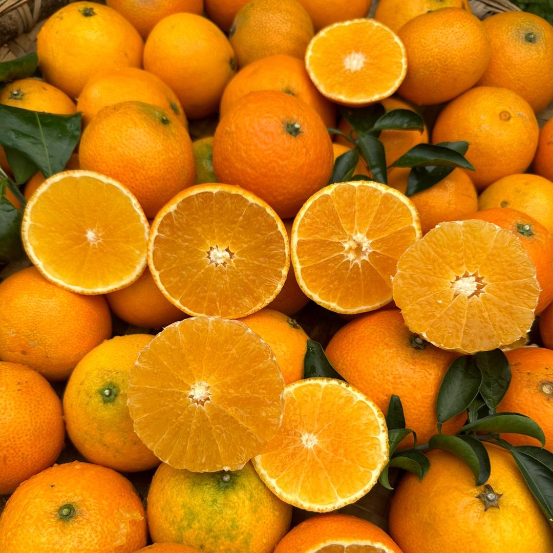 果景源（耙耙柑）