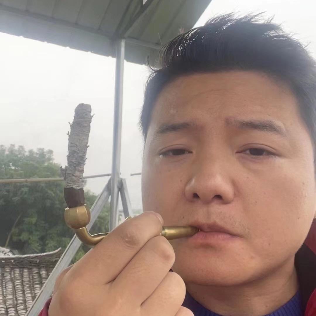 阳光男川味土茄叶子（10）