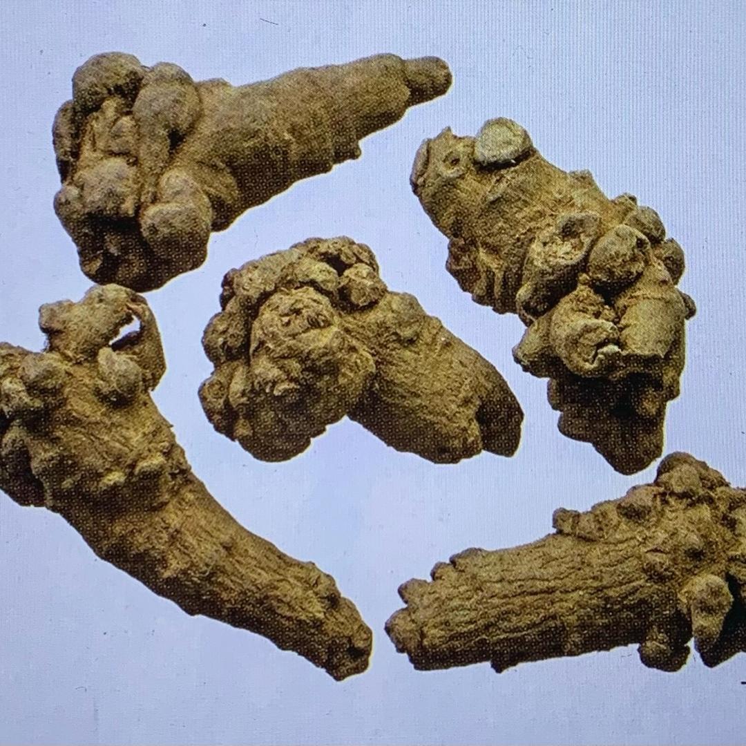 药学速记课堂