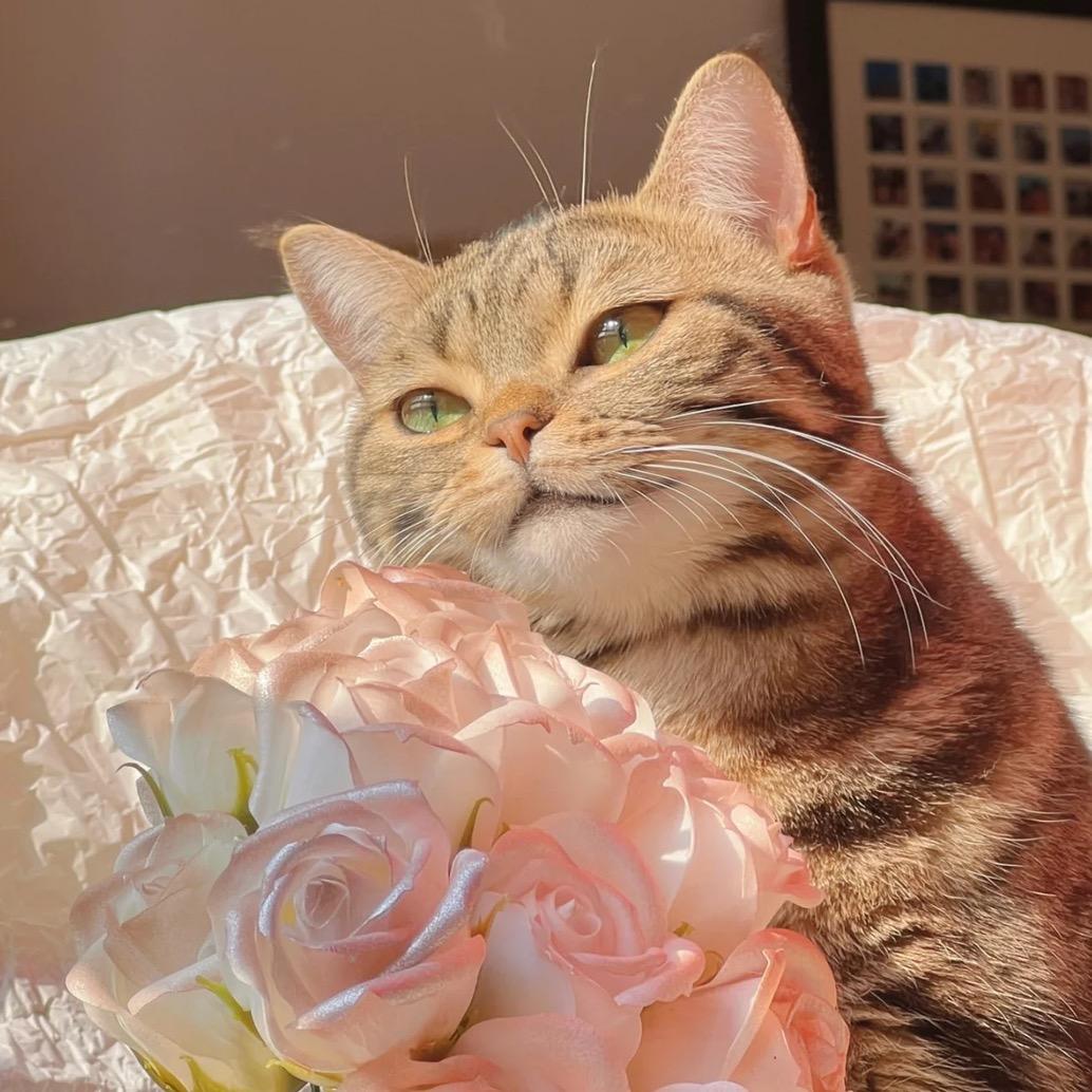 我喜欢小胖小胖