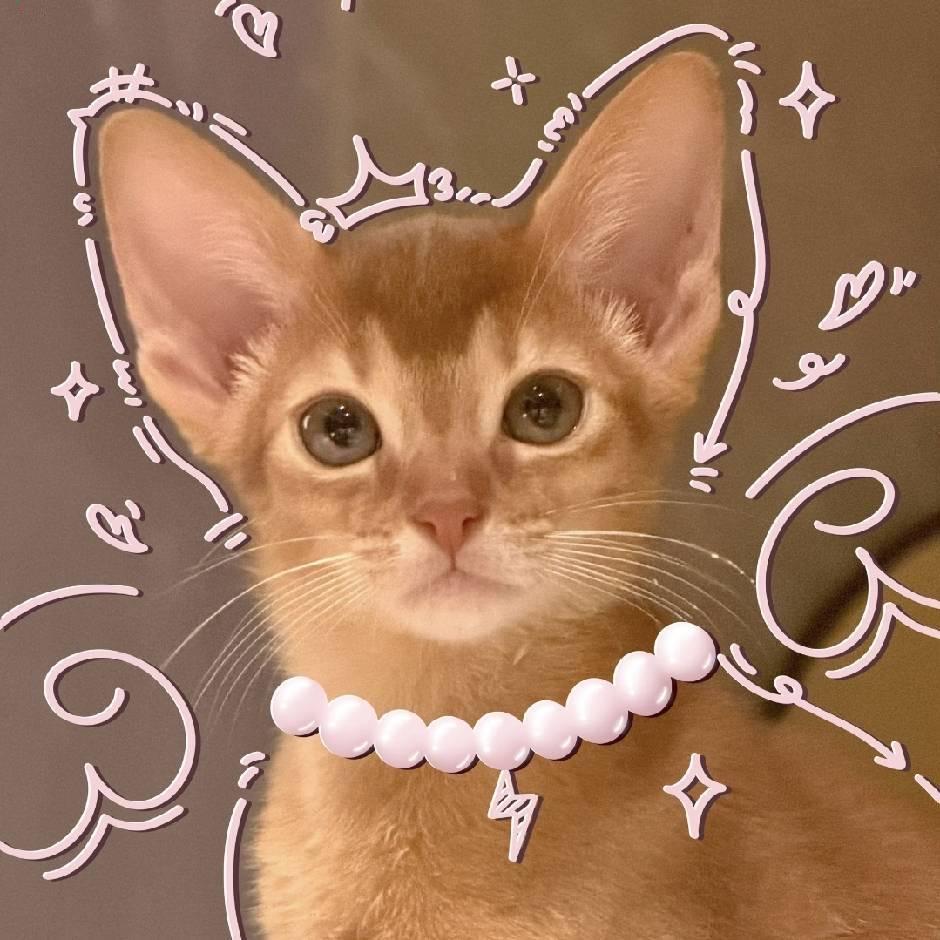 郑百万（见过梓渝版）🌽