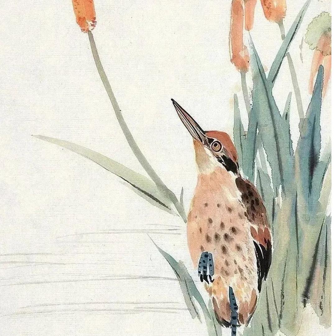 远方有时光