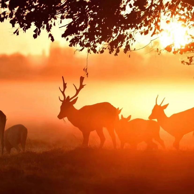 🤒️🛵🧑‍🏫