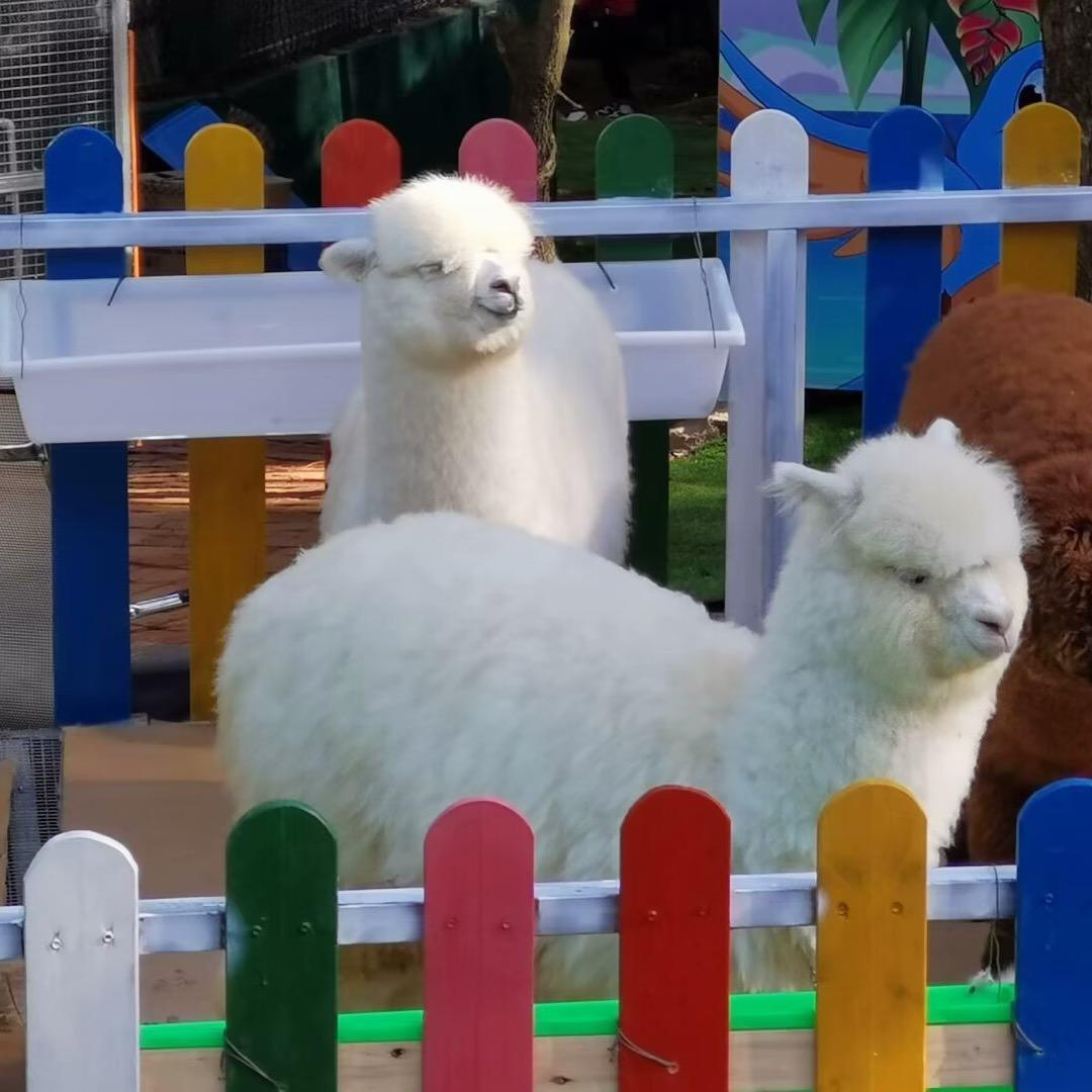 唯物主义