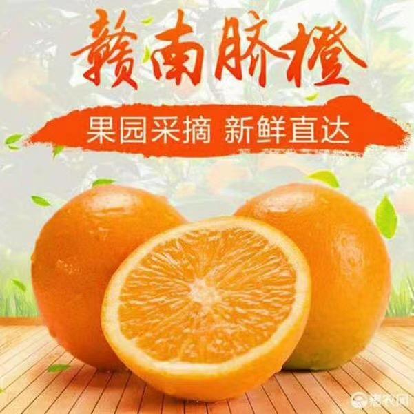 小陈助农