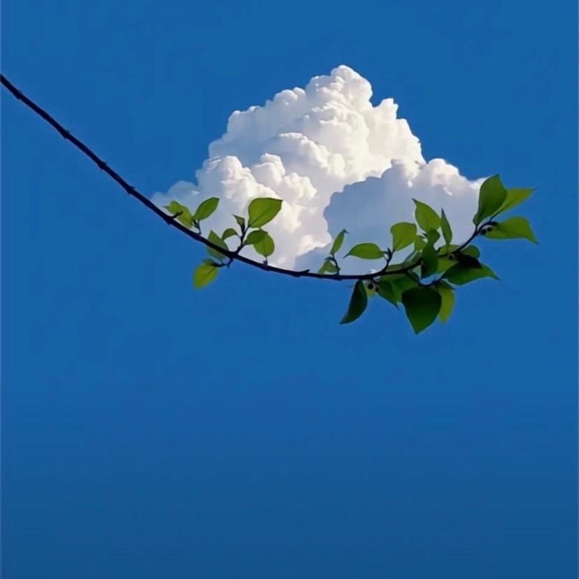 我爱哭但我笑点低啊