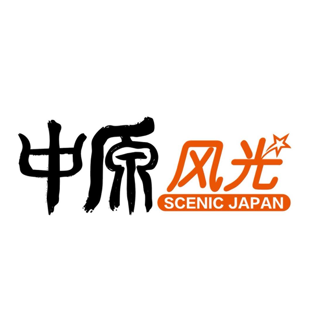 风光旅游丨洛阳西安旅游专场