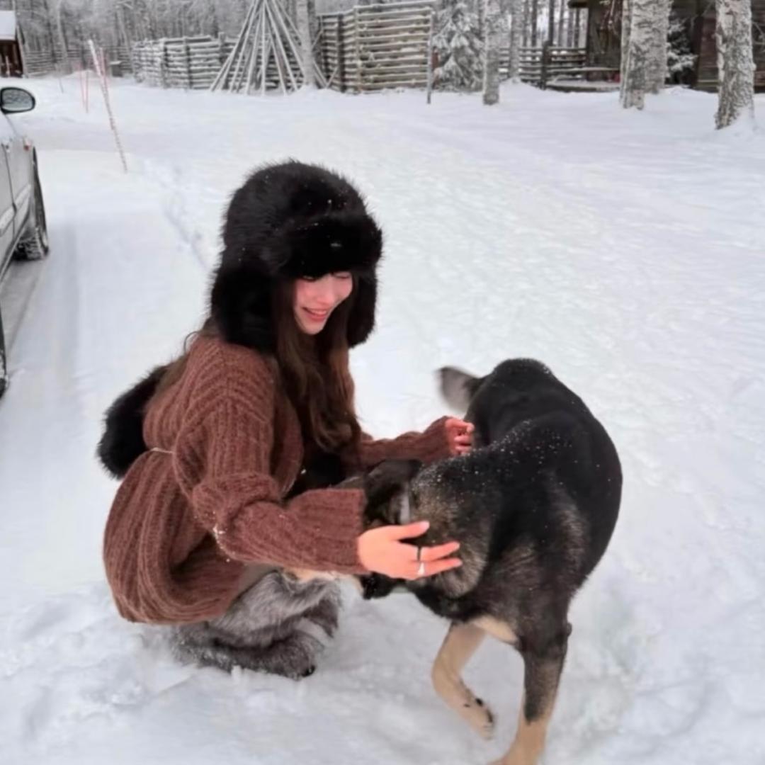 一只圆（版纳陪拍版📸）