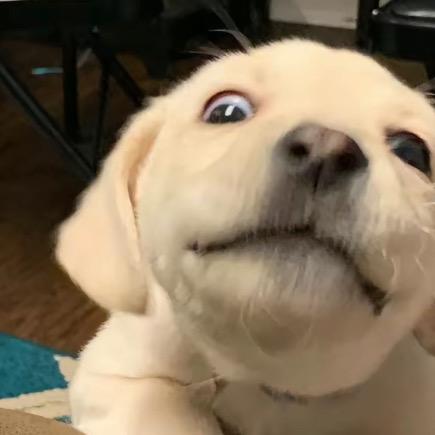 再等一会儿吧