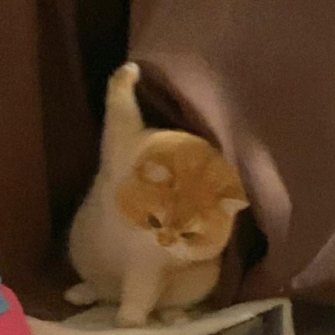 神奇的小心心