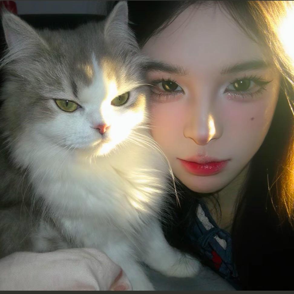 懒猪不是猪头像