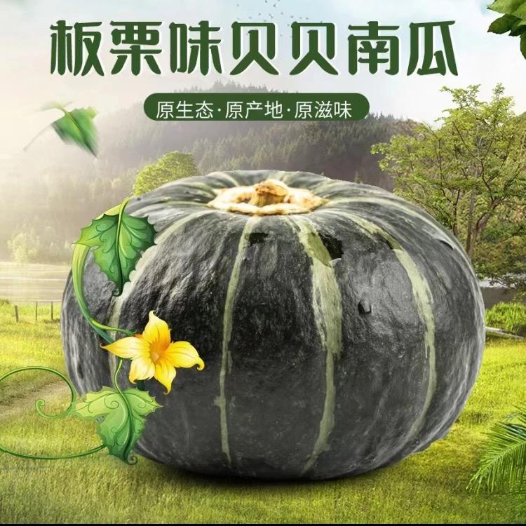 火火果蔬🌞