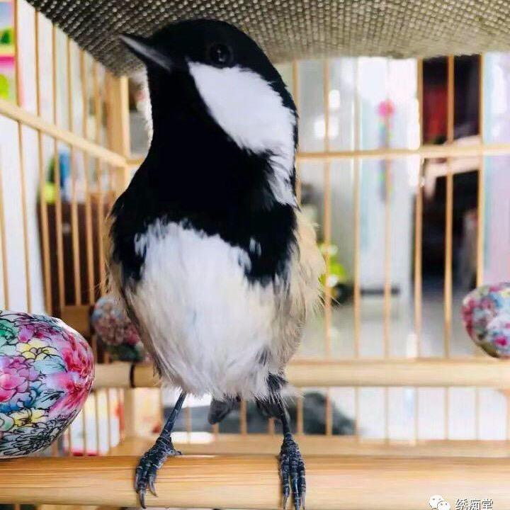 🌟赫阳°Dad _🌟