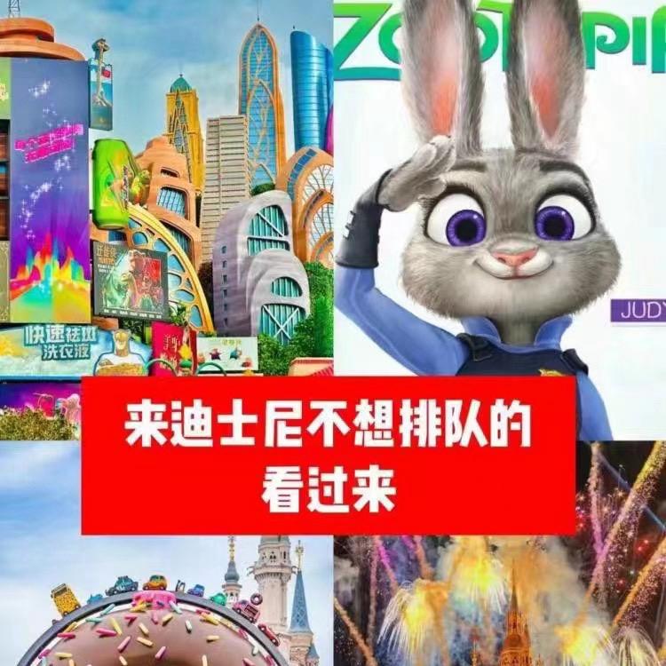 上海迪士尼旅行推荐官