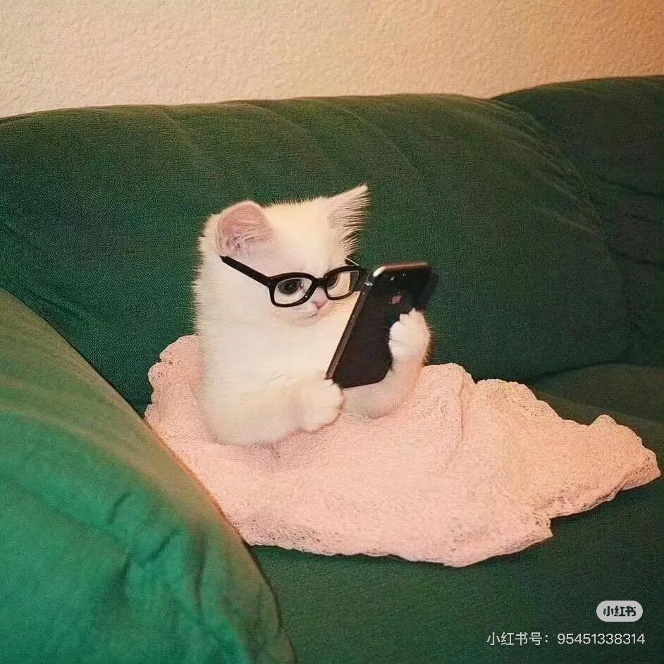 淇淇怪怪