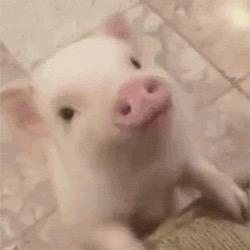 你定哦头像