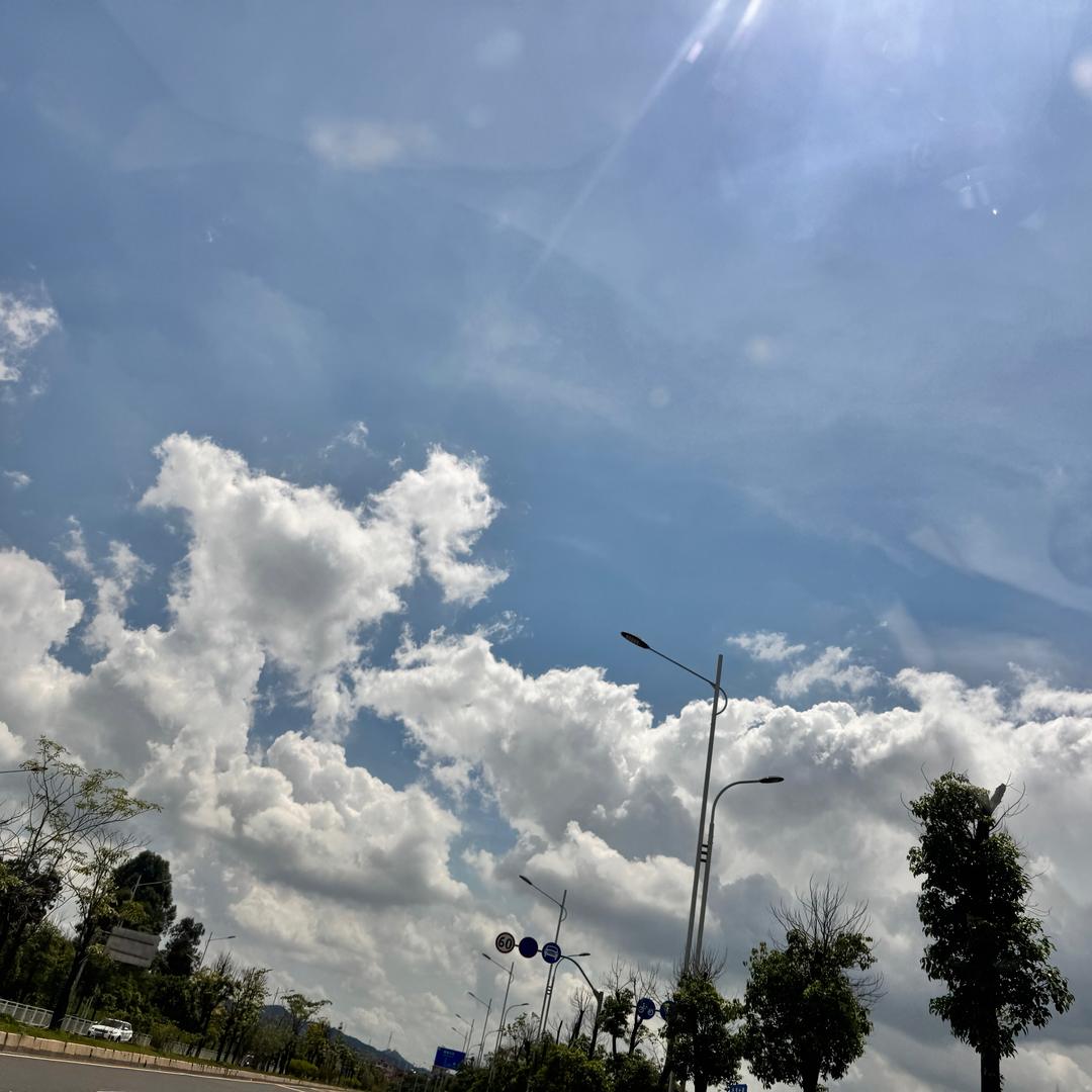 不善于海边告白