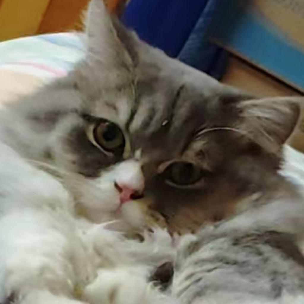 熬夜不秃头.😈