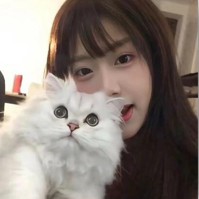 怡