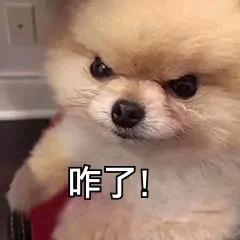 小鱼儿玩游戏