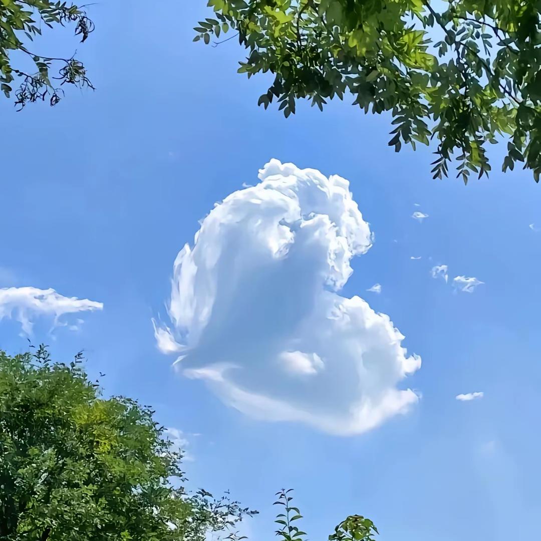 球是正方形