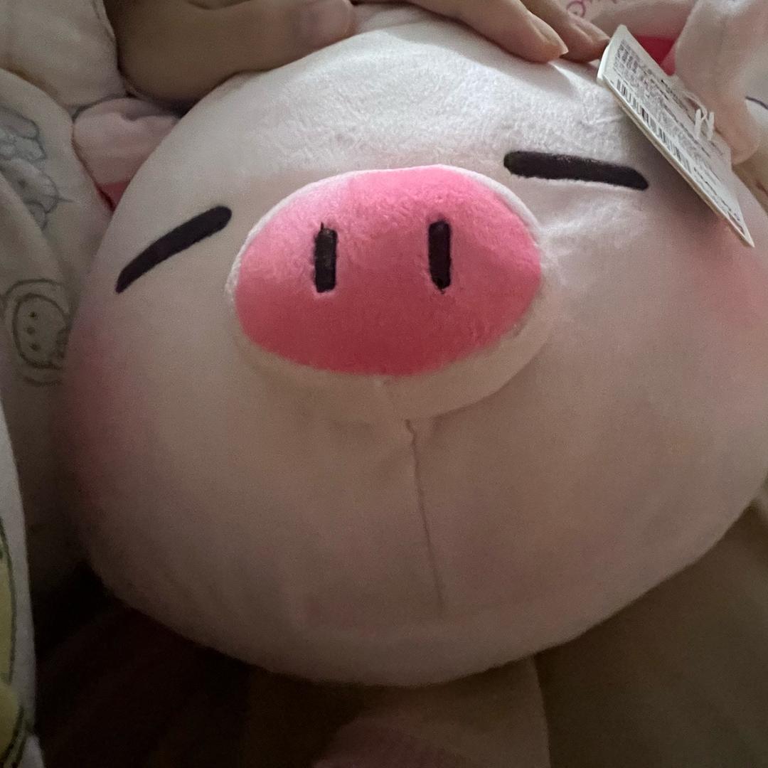 吾乃天之饺子