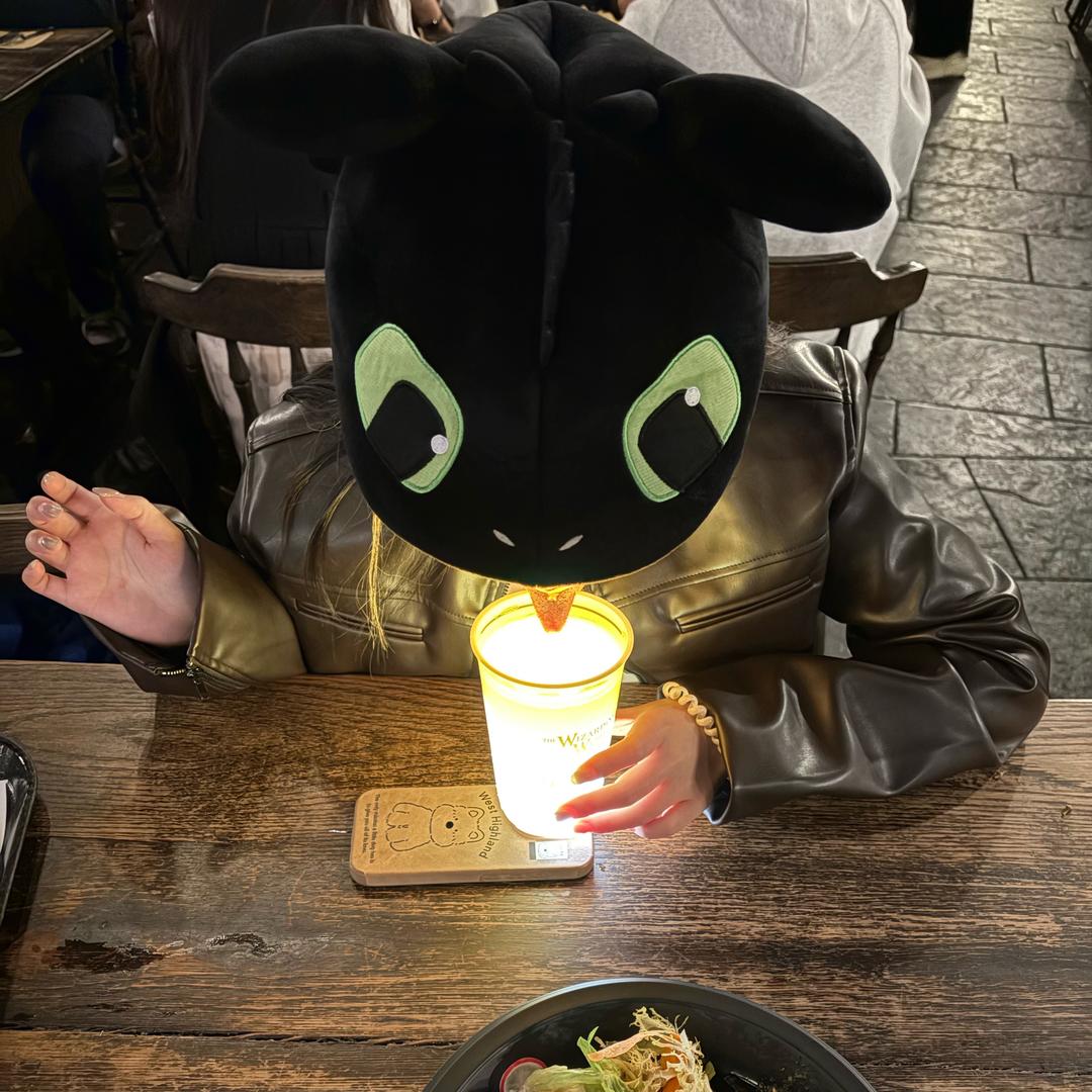 锦州ONE爬宠🦎