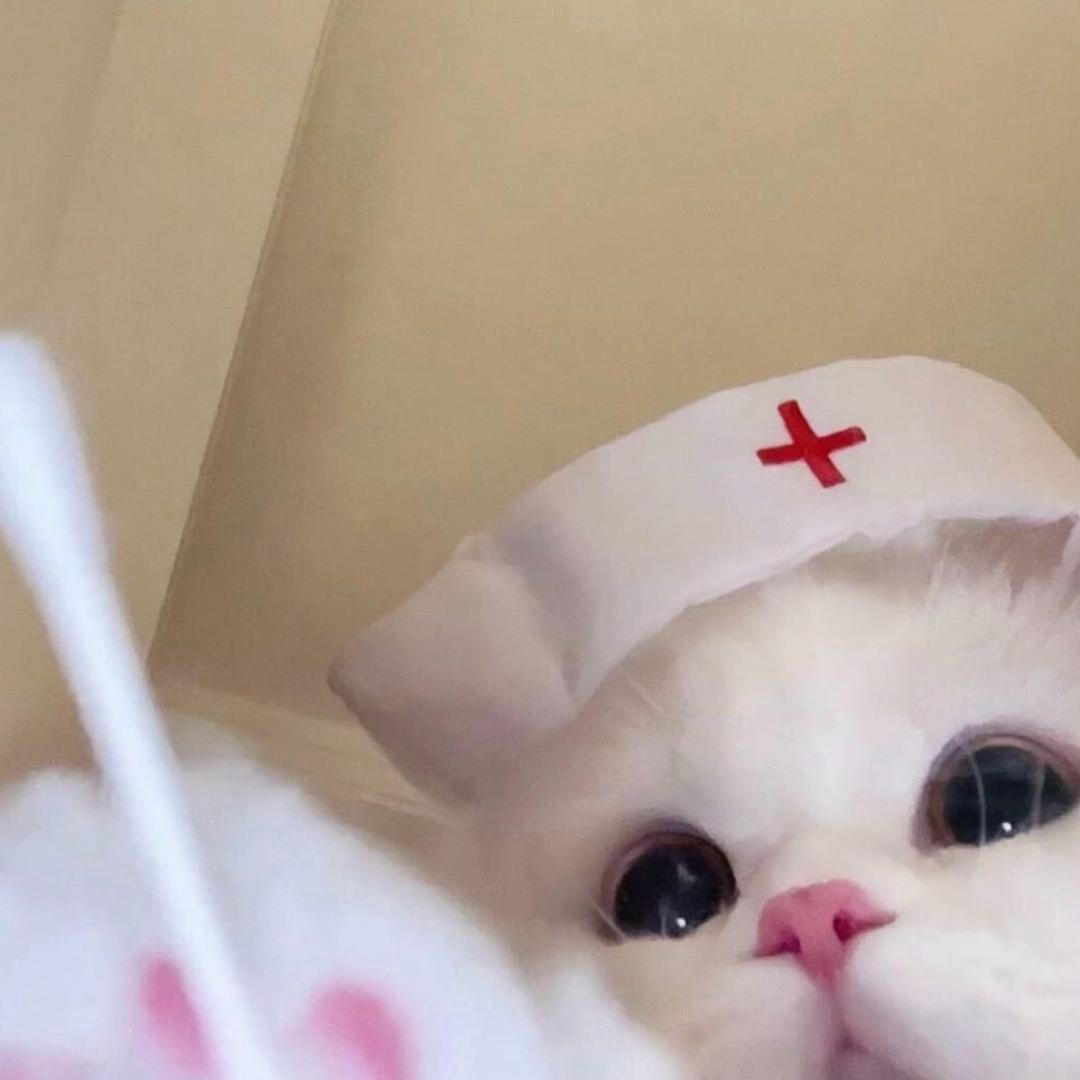 小笨